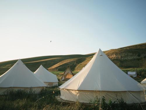 a group of white tents in a field at Nalati Jianxian B&B in Narat