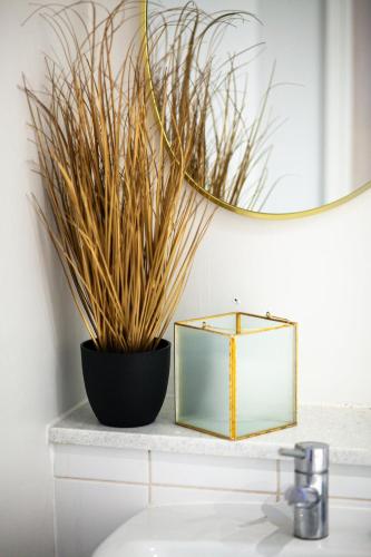 Golden View-Wyndale Living-Central Birmingham photo 55