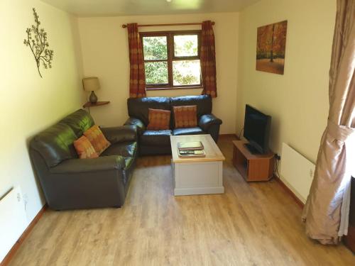 a living room with a leather couch and a television at ASH 2 Bedroom Lodge in Kingsnorth
