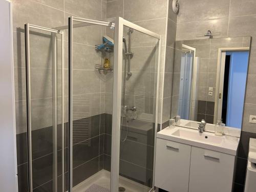 une salle de bain avec douche et lavabo dans l'établissement Appartement T3 cosy avec jardin à deux pas du centre de Meschers, garage et animaux admis - FR-1-738-1, à Meschers-sur-Gironde