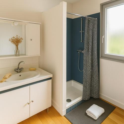 une salle de bain avec un lavabo et une douche dans l'établissement Duplex lumineux 4 chambres et 2 SDB proche gare, à Angers