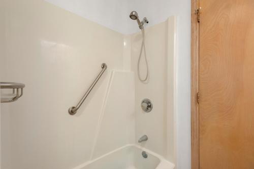Salle de bains dans l'établissement Moby Duck