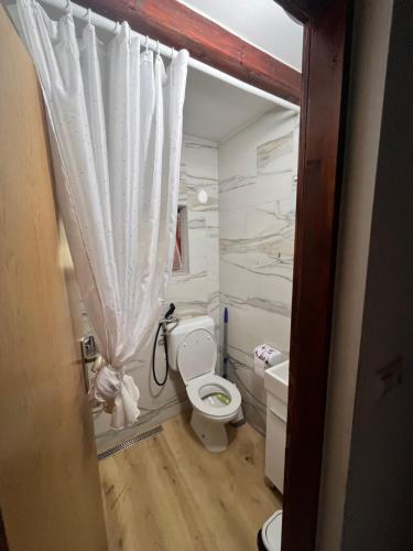 a bathroom with a toilet and a shower curtain at Holiday Home UnaPark in Krakovo