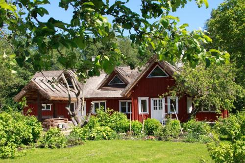 Zahrada ubytování Laugu Holiday Resort