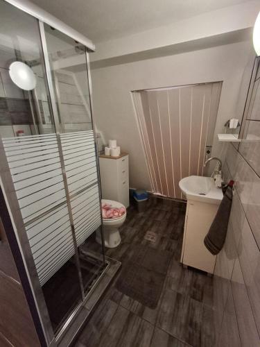 a bathroom with a shower and a toilet and a sink at Faludi vendégház in Vonyarcvashegy
