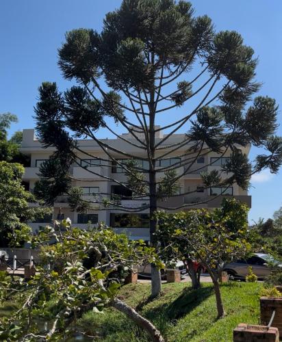 a pine tree in front of a building at Hotel Quinta do Lago in Cunha
