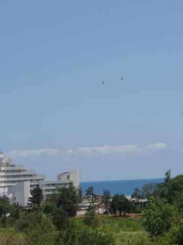 a view of a city with buildings and trees at Casa Roua in Venus