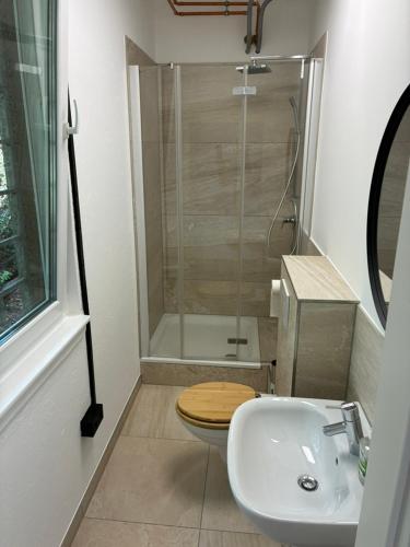 a bathroom with a toilet and a sink and a shower at alte Löterei in Alzenau