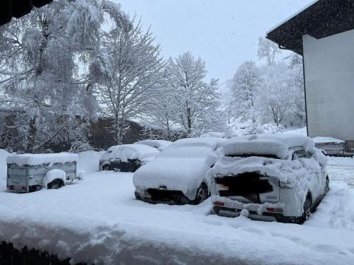 a row of parked cars covered in snow at Charming apartment Berggeweih Lodge at Zwölferkogel in Hinterglemm in Größing