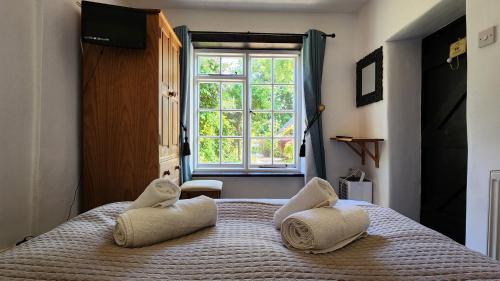 クライストチャーチにあるHorseshoe Lodgeの大きなベッドと2つの枕がある寝室