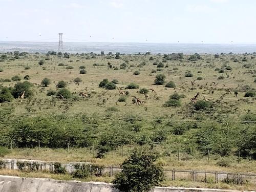 Φωτογραφία από το άλμπουμ του Lenayan Park View στο Ναϊρόμπι