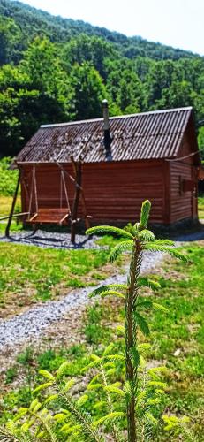 a wooden cabin in a field with a tree at Еко Садиба Під Полониною in Sasivka
