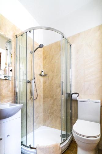 a bathroom with a shower with a toilet and a sink at Hotel Macocha in Blansko