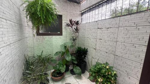 Taman di luar Pousada Recanto da Palmeira