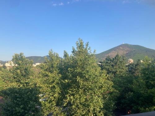 Γενική θέα στο βουνό ή θέα στο βουνό από  αυτό το διαμέρισμα