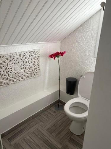 une salle de bain avec toilettes et une fleur dans le coin dans l'établissement Maison centre ville Touques, à Touques
