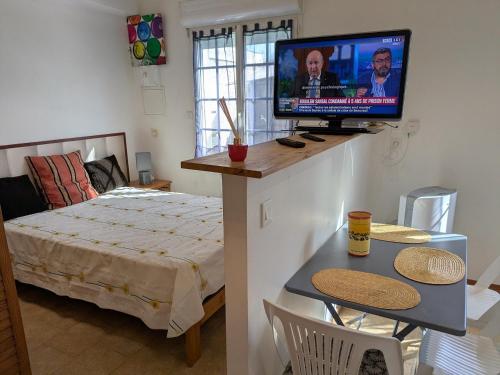 Maison loft et jardin privatif 400m plage Royan Pontaillac