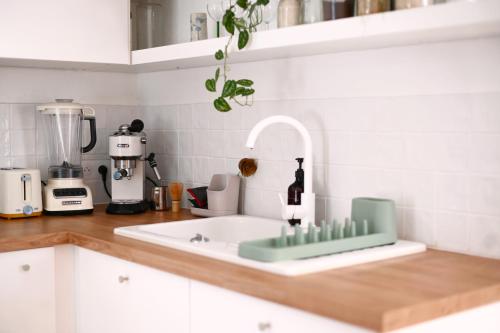 a kitchen counter with a sink and a mixer at Petit nid au cœur du centre historique d'Annecy in Annecy