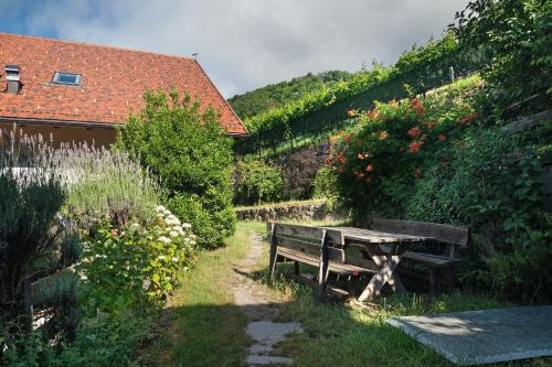 a wooden bench sitting in the grass next to a building at Rielingerhof in Collalbo