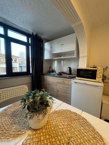 Kuchyň nebo kuchyňský kout v ubytování Hotel Antique