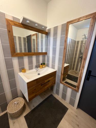 a bathroom with a sink and a mirror at Alpinia villa O'Mangos in Saint-François