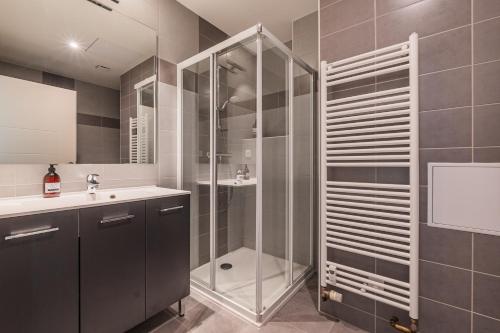 une salle de bain avec douche et lavabo dans l'établissement Une Parenthèse à Strasbourg, à Strasbourg