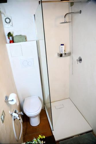 a bathroom with a toilet and a shower at Romantic cozy house 15 min Arezzo piscina&bosco in Falciano