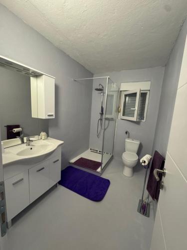 a bathroom with a shower and a sink and a toilet at Villa Lory Krk in Krk