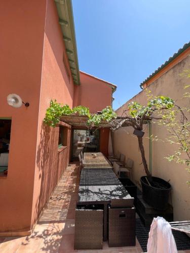 un patio extérieur avec des bonsaïs et un bâtiment dans l'établissement Villa Évasion, à Collioure