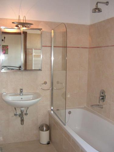a bathroom with a shower and a sink and a tub at Villa Ema in Radetići