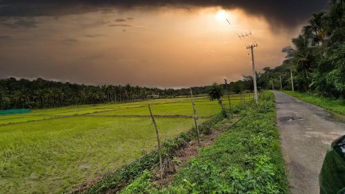 a road in a field with a street light at Green BOB Villa in Sultan Bathery