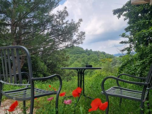 two chairs and a table in a field with flowers at Country House-B&B-Appartamenti Ai Cipressi in Urbino