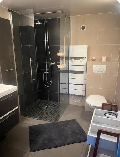 une salle de bain avec une douche avec des toilettes et un lavabo dans l'établissement Petite maison indépendante à 20min de Paris, à Bonneuil-sur-Marne