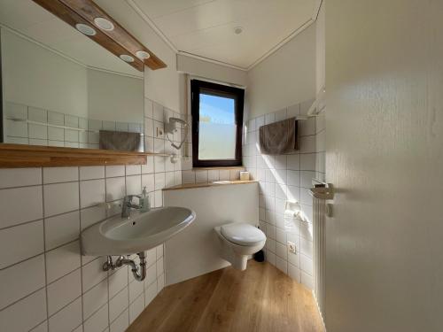 a bathroom with a sink and a toilet at Fichtenhain - Lastering Ferienhäuser & Apartments in Wettringen