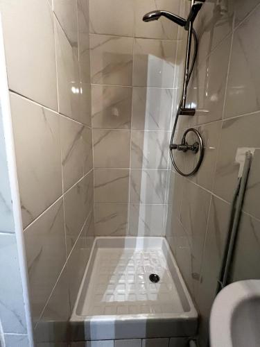 a bathroom with a shower with a toilet and a sink at Petit appartement à deux pas de la place du Capitole in Toulouse