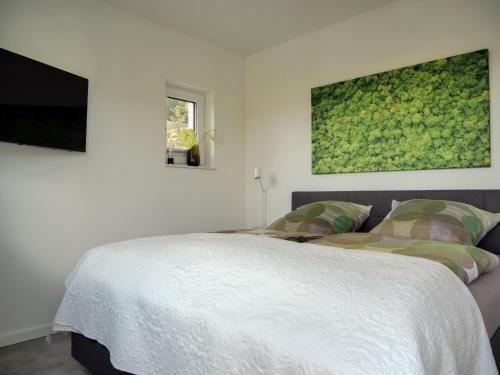 a bedroom with a bed and a flat screen tv at Sonnenweg 4 in Diemelsee