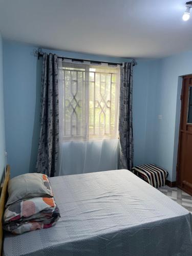a bedroom with a bed and a window at MSF BACHELOR PAd in Arusha