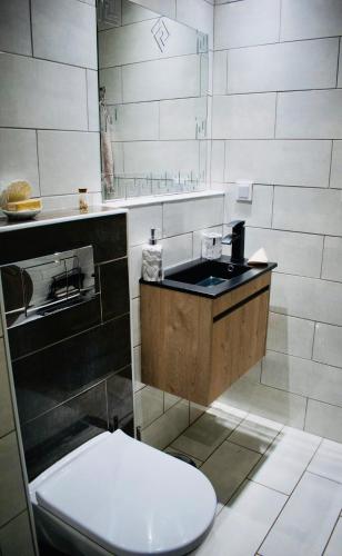 a bathroom with a toilet and a sink at SkiathitissasMaison in Skiathos