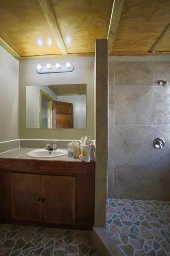 a bathroom with a sink and a mirror at Corona del Mar in San Pedro