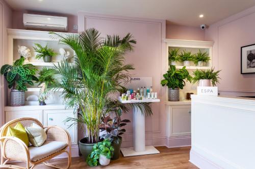a room with potted plants on shelves at Roslin Beach Hotel in Southend-on-Sea