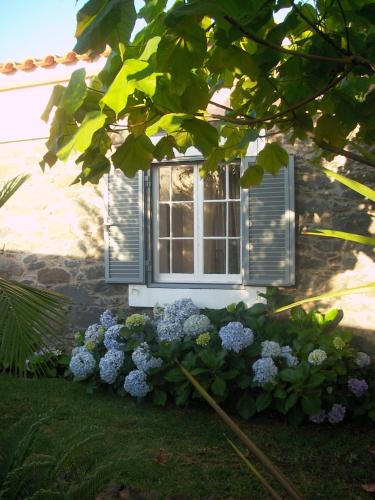 a window with blue flowers in front of a house at Casa do Poço Funchal in Funchal
