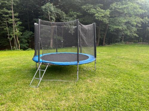 a trampoline in the grass in a field at Patriot penzion a kemp in Držková