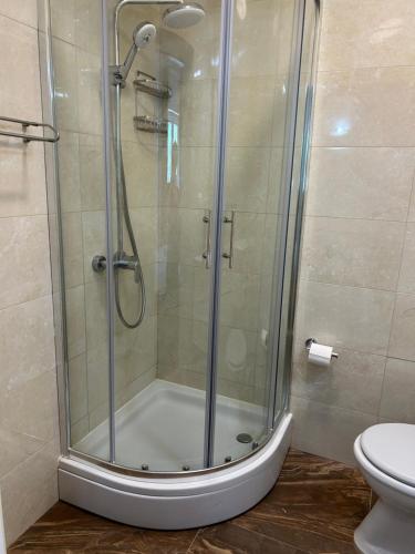 e bagno con servizi igienici e cabina doccia. di Lotus Rooms a Brzac