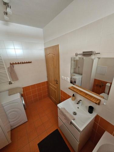 Koupelna v ubytování VB City Apartment