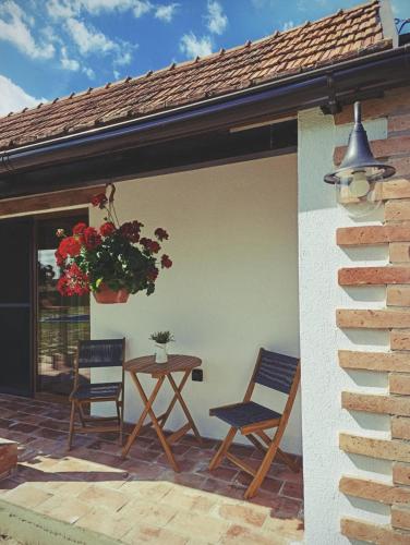 a patio with two chairs and a table with a potted plant at Ruralna kuća za odmor Bor Anya in Vardarac
