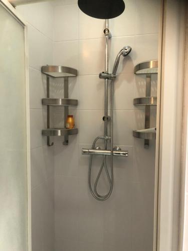 a shower with a shower head and shelves in a bathroom at Baudelocque in Boulogne-sur-Mer