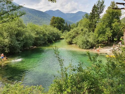 Příroda nedaleko apartmánu