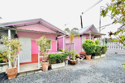 a row of pink houses with potted plants at Home one love Ayutthaya bangalow zone in Phra Nakhon Si Ayutthaya