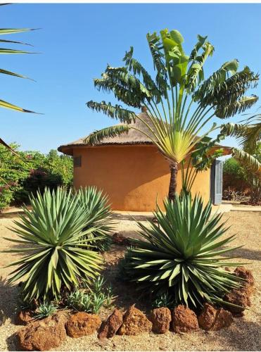 two palm trees in front of a building at Villa Cœur Lagune Piscine 4 chambres in Nianing