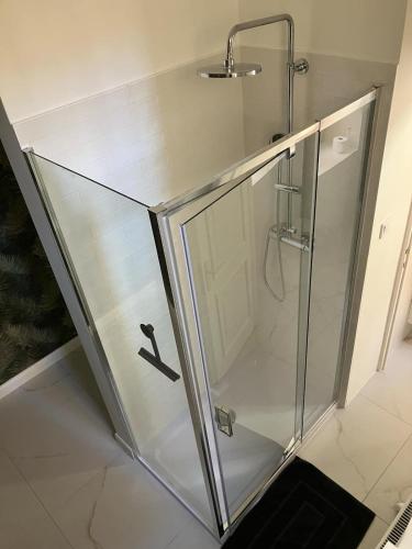 a shower with a glass door in a bathroom at Center Flat in Szeged